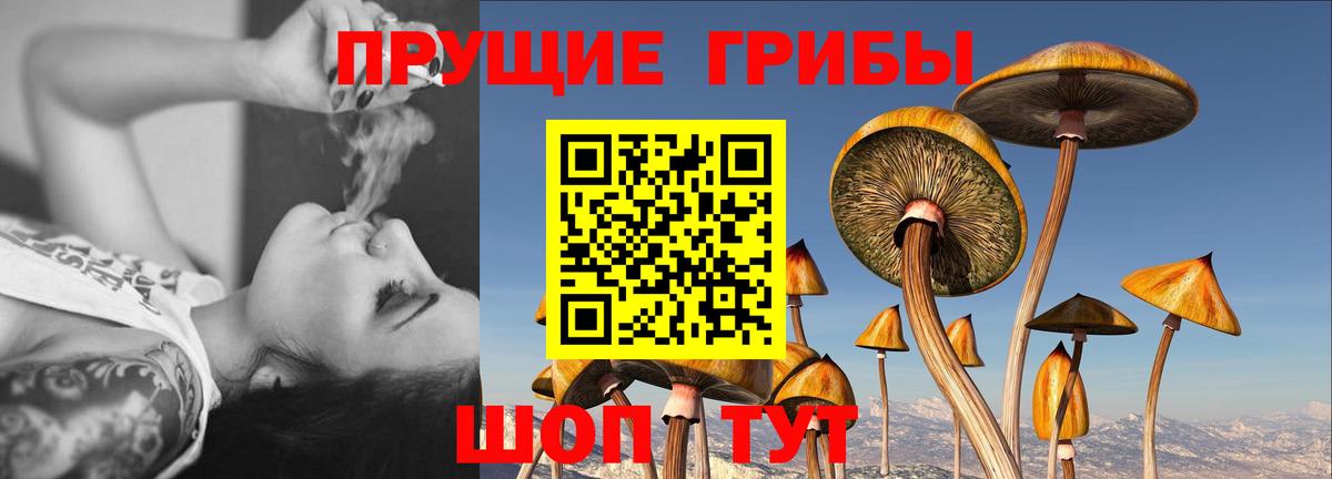Псилоцибиновые грибы мухоморы  Вход с VPN  Псилоцибиновые грибы Psilocybine cubensis  Кимовск 